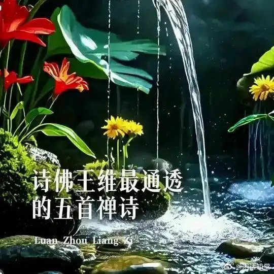 王维佛系选号，福彩3D心静即中奖之道